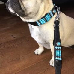 Doxtasy Hondenhalsband Blue River 35mm -Hond winkel image 1799