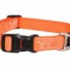 Rogz Hondenhalsband Orange Doodle -Hond winkel image 1807