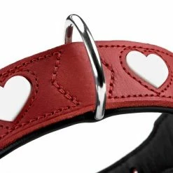 Hunter Hondenhalsband Love -Hond winkel image 182