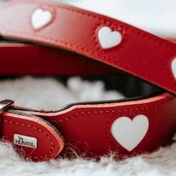 Hunter Hondenhalsband Love -Hond winkel image 185