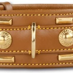 Doxtasy Hondenhalsband Glorious Tan 60mm