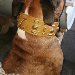 Doxtasy Hondenhalsband Glorious Tan 60mm 13 Doxtasy Hondenhalsband Glorious Tan 60mm -Hond winkel image 1872