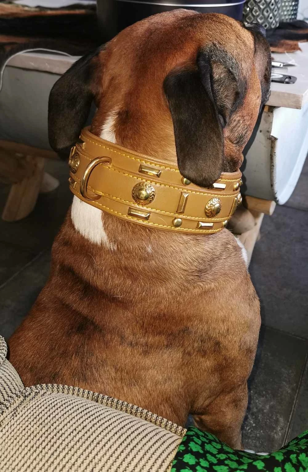 Doxtasy Hondenhalsband Glorious Tan 60mm 8 Doxtasy Hondenhalsband Glorious Tan 60mm - Afbeelding 6