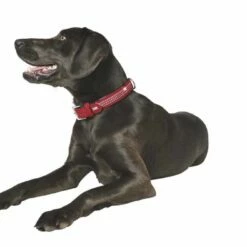 Hunter Hondenhalsband Softie Rood Triluxe -Hond winkel image 1883
