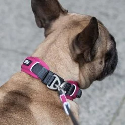 DOG Copenhagen Hondenhalsband Urban Explorer Wild Rose -Hond winkel image 1926