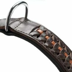 Hunter Hondenhalsband Solid Education Exclusive 9 Hunter Hondenhalsband Solid Education Exclusive -Hond winkel image 1933