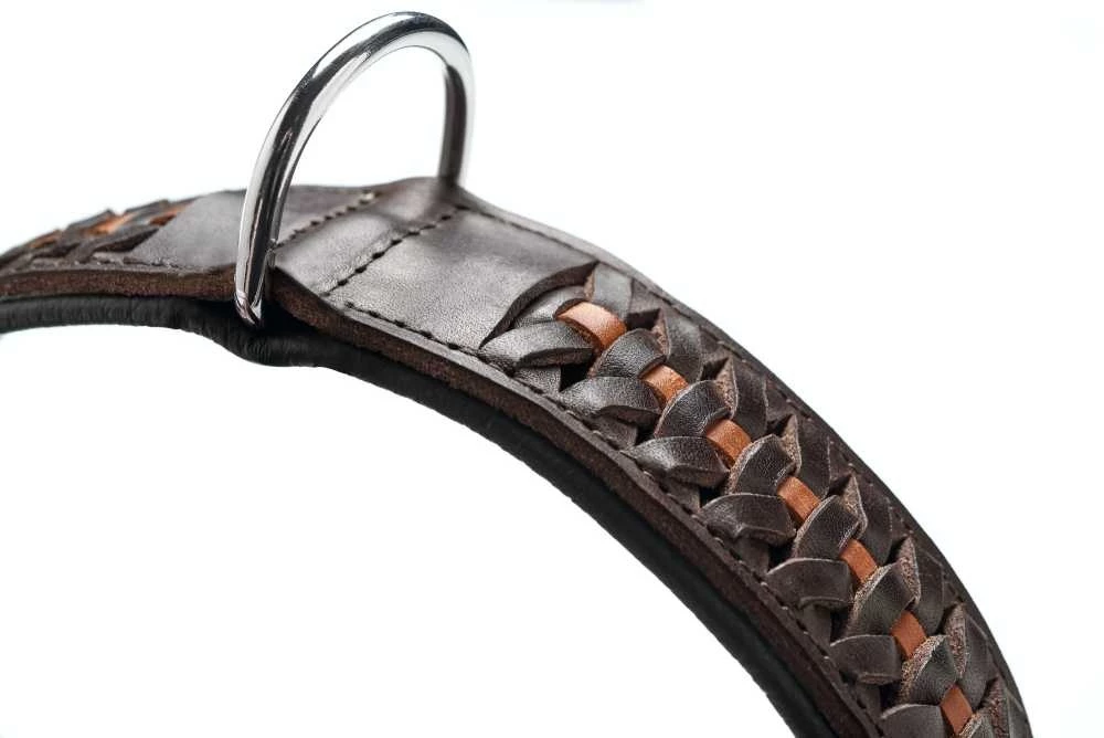 Hunter Hondenhalsband Solid Education Exclusive 5 Hunter Hondenhalsband Solid Education Exclusive - Afbeelding 3