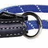 Rogz Training Halsband Hond Blauw 1 Rogz Training Halsband Hond Blauw -Hond winkel image 1936