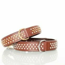 Sebastian Hondenhalsband Bengal Messing