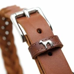 Hunter Hondenhalsband Solid Education Cognac -Hond winkel image 1951