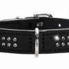 Hunter Hondenhalsband Diamond Petit Zwart -Hond winkel image 1965