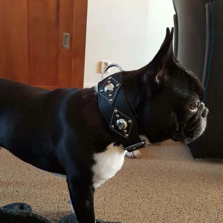 Doxtasy Hondenhalsband Ruff Chique Black 4 Doxtasy Hondenhalsband Ruff Chique Black - Afbeelding 2