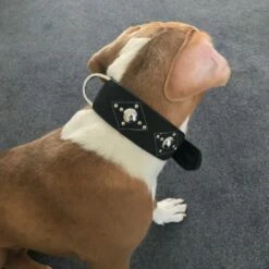 Doxtasy Hondenhalsband Ruff Chique Black 13 Doxtasy Hondenhalsband Ruff Chique Black -Hond winkel image 1984