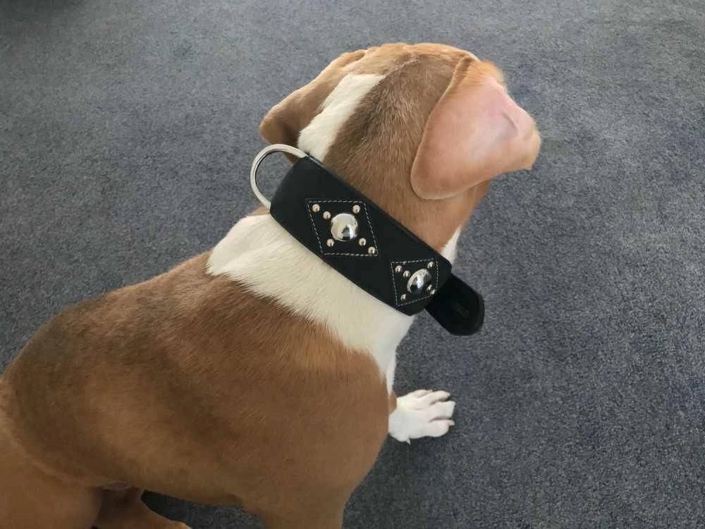 Doxtasy Hondenhalsband Ruff Chique Black 8 Doxtasy Hondenhalsband Ruff Chique Black - Afbeelding 6