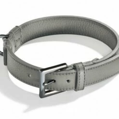 Schröders Hund Hondenhalsband Chic Grijs