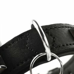 Hunter Hondenhalsband Larvik Zwart 8 Hunter Hondenhalsband Larvik Zwart -Hond winkel image 1993
