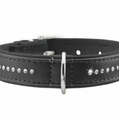 Hunter Hondenhalsband Modern Art Luxus Zwart