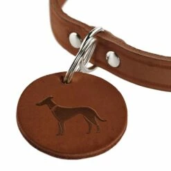 Hunter Hondenhalsband Aalborg Cognac -Hond winkel image 2022