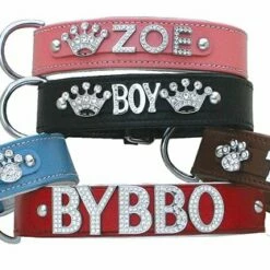 Doxtasy Hondenhalsband Met Naam Large Black -Hond winkel image 2027