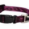 Rogz Hondenhalsband Alpinist Paars -Hond winkel image 2028