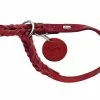 Hunter Training Halsband Hond Solid Education Rood -Hond winkel image 2042