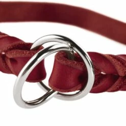 Hunter Training Halsband Hond Solid Education Rood 13 Hunter Training Halsband Hond Solid Education Rood -Hond winkel image 2047