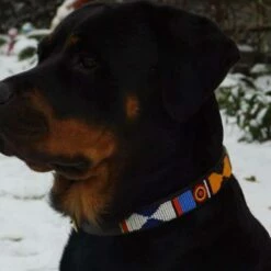 The Kenyan Collection Hondenhalsband Primary -Hond winkel image 2057