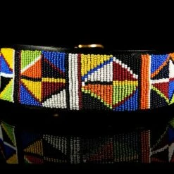 The Kenyan Collection Hondenhalsband Primary -Hond winkel image 2061