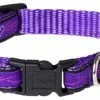 Rogz Hondenhalsband Purple Chrome 2 Rogz Hondenhalsband Purple Chrome -Hond winkel image 2072