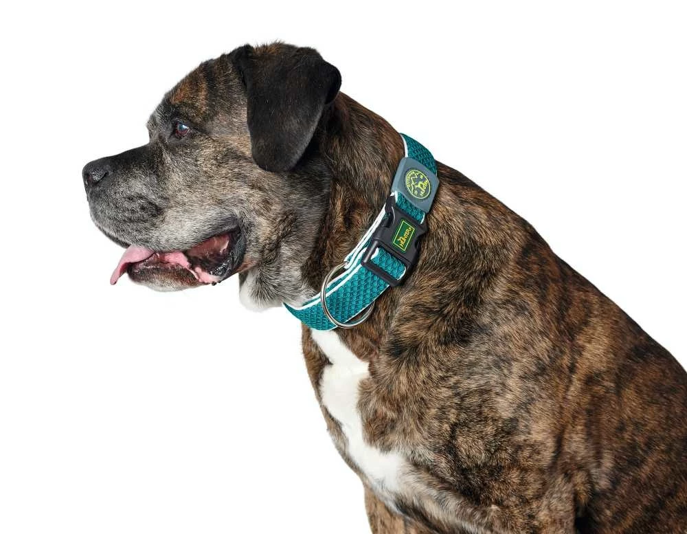 Hunter Hondenhalsband Hilo Vario Plus Turquoise 4 Hunter Hondenhalsband Hilo Vario Plus Turquoise - Afbeelding 2