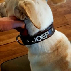 Doxtasy Hondenhalsband Met Naam Large Brown -Hond winkel image 2085