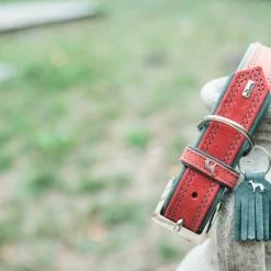 Petique Hondenbuggy Chinook -Hond winkel image 21