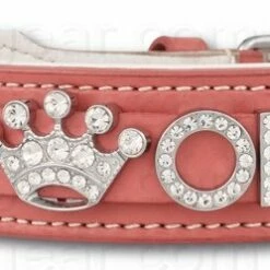 Doxtasy Hondenhalsband Met Naam Large Pink