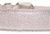Doxtasy Hondenhalsband Glitter Silver 2 Doxtasy Hondenhalsband Glitter Silver -Hond winkel image 2123