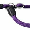 Hunter Training Halsband Hond Freestyle Paars 1 Hunter Training Halsband Hond Freestyle Paars -Hond winkel image 2129