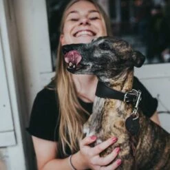 Hunter Windhonden Halsband Super Soft Donkerbruin