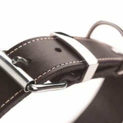 Hunter Hondenhalsband Aalborg Special Bruin -Hond winkel image 2176