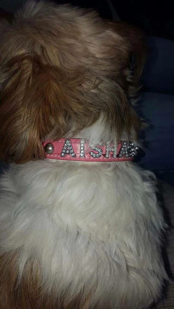 Doxtasy Hondenhalsband Met Naam Medium Pink 4 Doxtasy Hondenhalsband Met Naam Medium Pink - Afbeelding 2