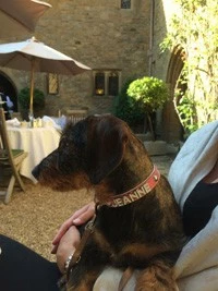 Doxtasy Hondenhalsband Met Naam Medium Pink 6 Doxtasy Hondenhalsband Met Naam Medium Pink - Afbeelding 4