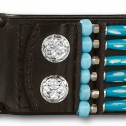 Doxtasy Hondenhalsband Blue River 50mm