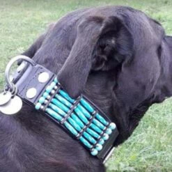 Doxtasy Hondenhalsband Blue River 50mm -Hond winkel image 2218