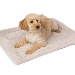 TrendPet Hondendeken Harmony Beige -Hond winkel image 2238