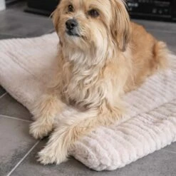 TrendPet Hondendeken Harmony Beige -Hond winkel image 2240