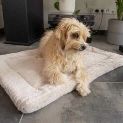 TrendPet Hondendeken Harmony Beige -Hond winkel image 2241