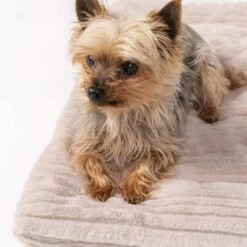 TrendPet Hondendeken Harmony Beige -Hond winkel image 2242