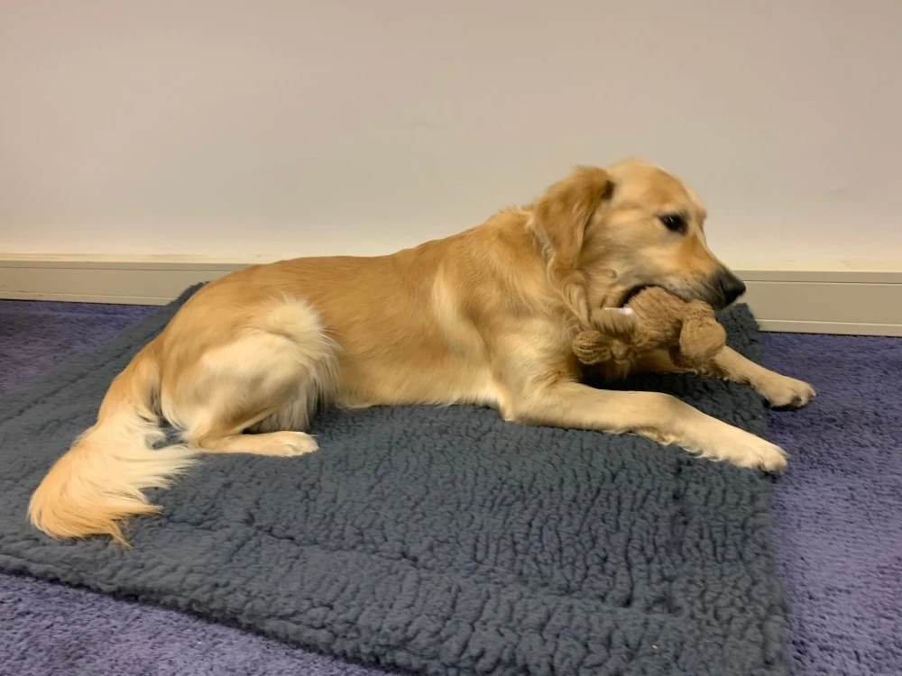 Hugglehounds Fleece Mat Grijs 3 Hugglehounds Fleece Mat Grijs