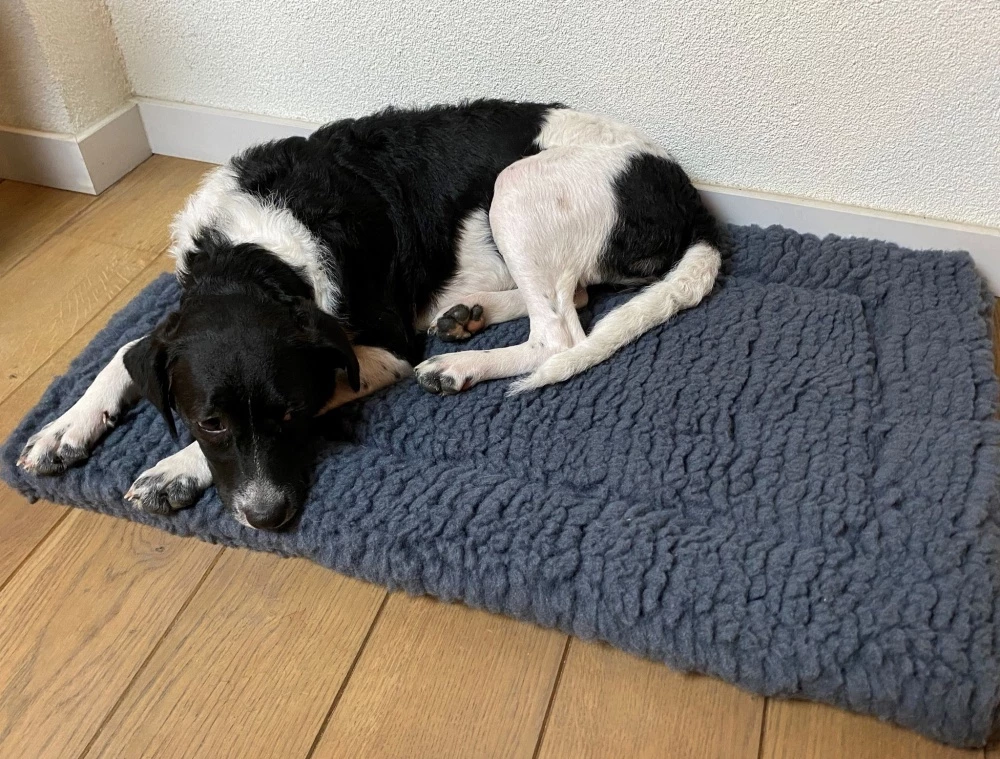 Hugglehounds Fleece Mat Grijs 5 Hugglehounds Fleece Mat Grijs - Afbeelding 3