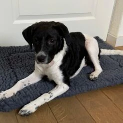 Hugglehounds Fleece Mat Grijs 9 Hugglehounds Fleece Mat Grijs -Hond winkel image 2280