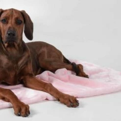 TrendPet Hondendeken Coco Roze