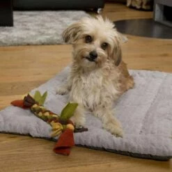 TrendPet Hondendeken Heaven Grijs 13 TrendPet Hondendeken Heaven Grijs -Hond winkel image 2299